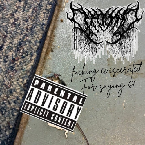Post Mortem Defilement With A Chainsaw And Barbedwire