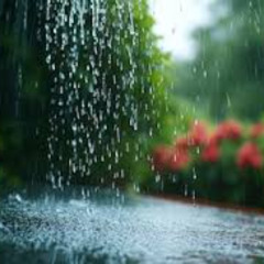 No Watering On A Rainy Day
