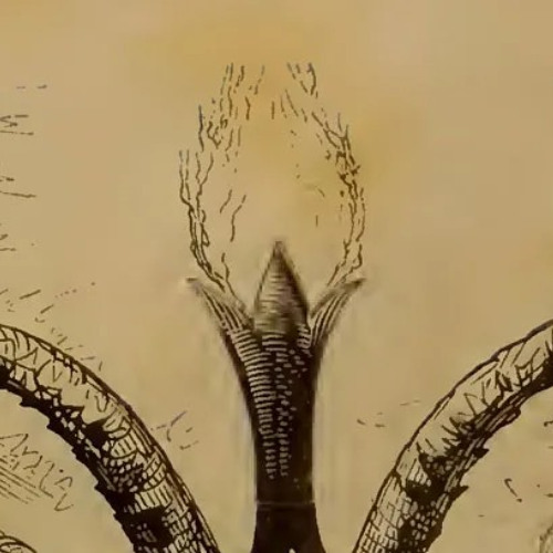 One pill a day keeps the madness away