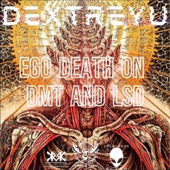 Ego Death en DMT y LSD (Polyphia, Becker, Stryker & Javier Bussola Mashup) - Dextreyu