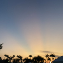 Never let her go - David Gates (cover)