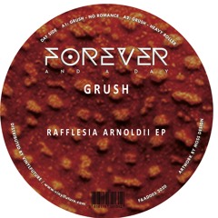 B1: GRUSH - AFTER SUNNY ROOM