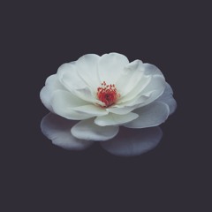 Noble