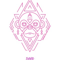 David - Friday 2024