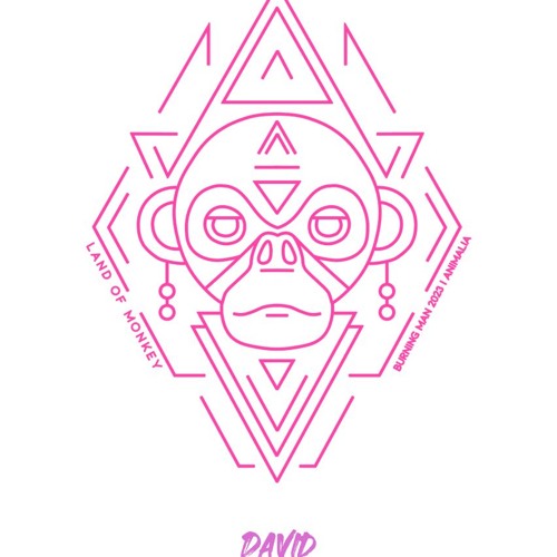 David - Friday 2024