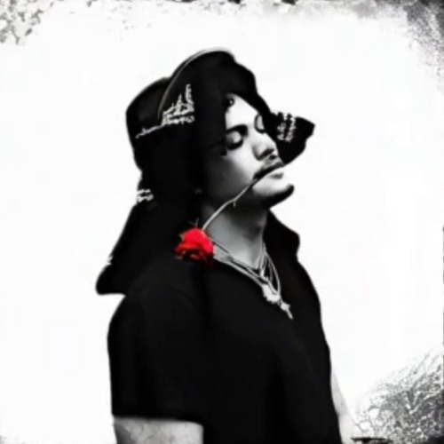 Flame Freestyle
