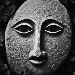 Cry of the Stones