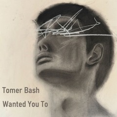 Tomer Bash - Wanted You To (Extended Mix)