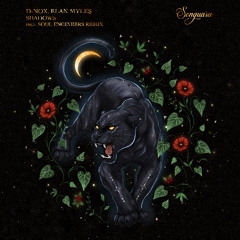 Premiere: D-Nox, Elan Myles - Shadows (Soul Engineers Remix) [Songuara]