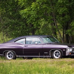 Focus FRE2H BEAT HOOK INTRO TYPE