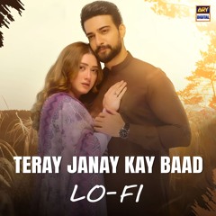 Teray Janay Kay Baad |  Lo-Fi | Slow & Reverb 🎶 | Shahmeer Shazil | Nish Asher | ARY Digital