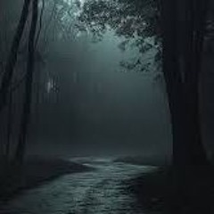 Fairy's In The Forest