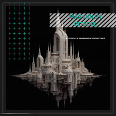 Max Dolgy - Citadel (Original Mix)