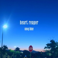 navy blue (MUNA cover)