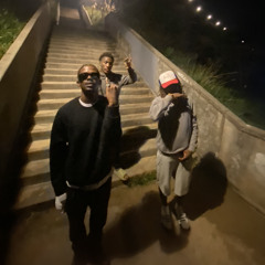 RAV3RS + thaHomey (Kaktus)