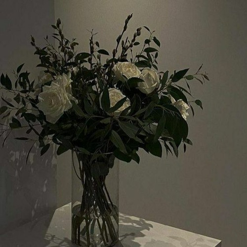 lieu rang som mai vo tinh mat cham nhau