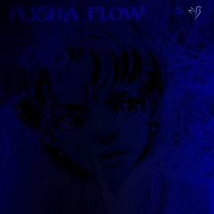 PUSHA FLOW ( BEAT BY  Stoic)