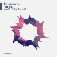 Akos Gyorfy - Follow The Light (Original Mix)