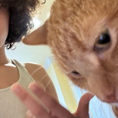 ammo w/ chaos