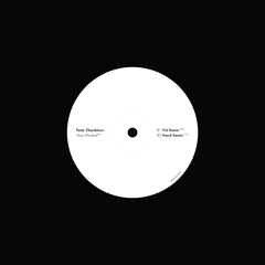B1: Peter Zherebtsov - Hive Minded (Vid Remix)