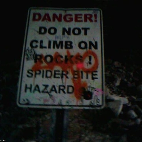 Say You Will - JunkMajesty on Instagram