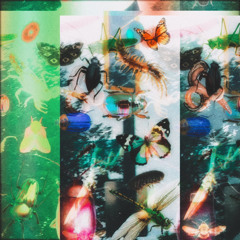 7/31/22-8/6/22