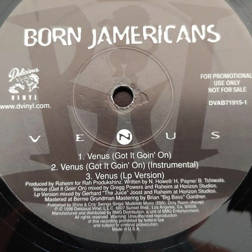 Venus Got It Goin' On (Reprise DUB) (Born Jamericans) (1998)