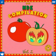 Stream New Day Everyday | Listen to NDE COMPILATION 002 Vol.2 playlist  online for free on SoundCloud