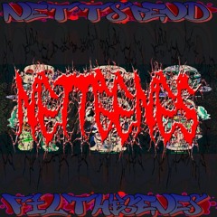 Nettspend - Holy
