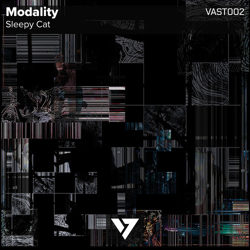 Sleepy Cat - Modality (Secus Remix) [VAST Recordings]