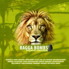 RAGGA BOMBS - Special Mix Vol.3 (Mixed By Bassing)