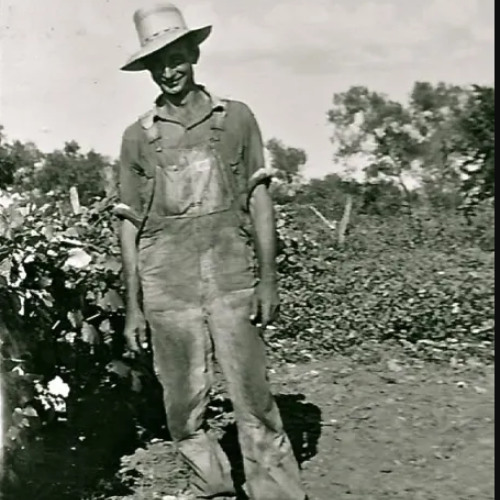 my life as a farmhand