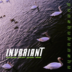 Punshukunshu - Invariant [Self-Release]