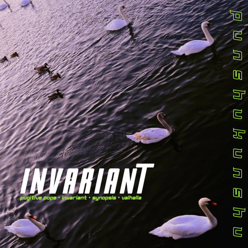 Punshukunshu - Invariant [Self-Release]