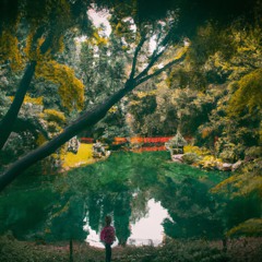 Reflections (Holding On)