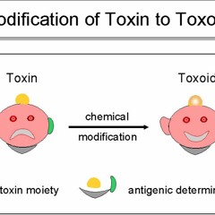 Significance Of Toxoids In Active Immunity Pdf Download //FREE\\