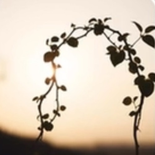 Ties That Hold Us - Joseph Francis.mp3