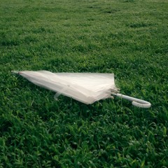 a broken umbrella and her raindrops