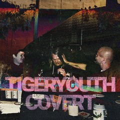46. Tigeryouth - Zweckoptimismus (Der Trick Ist Zu Atmen Cover)