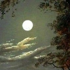 Lonely Moonlight- Ryan Ross (cover)