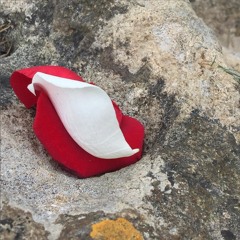 Invocation For "Heart Healing" between the Feminine & Masculine