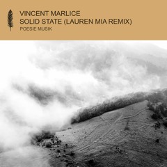 Vincet Marlice - Solid State (Lauren Mia Remix) (snippet)