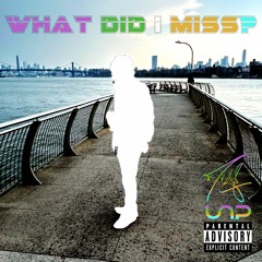 What Did I Miss? (Prod.By.GLLTTTBAOWW)