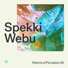 Patterns of Perception 86 - Spekki Webu