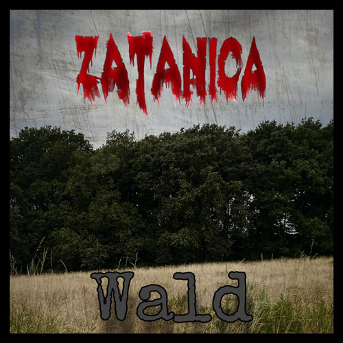 Zatanica - Wald