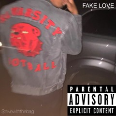 Fake Love (Prod. by BearMakeHits)