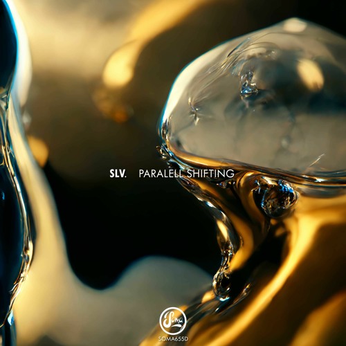Premiere: SLV - Project Lost #90 [SOMA655D]
