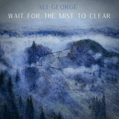 Wait For The Mist To Clear