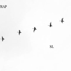 K Trap ft. SL - Birds (Remix)