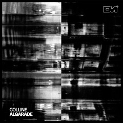 𝙋𝙧𝙚𝙢𝙞𝙚𝙧𝙚 : Colline - Algarade (Nouveau Monica Remix) [Dionysian Mysteries]